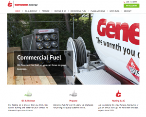 Screenshot of Genesee Energy's website.