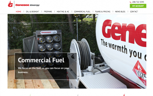 Screenshot of Genesee Energy's website homepage